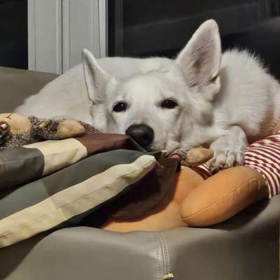 Carmen's Profilbild