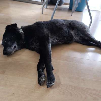 aktuelles Foto Gruppe Körpersprache lesen & verstehen