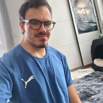 Hundetreffen-Gassirunde-Bild