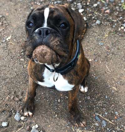 LUSTIGE FOTOS! WER KANN MITHALTEN?-Beitrag-Bild