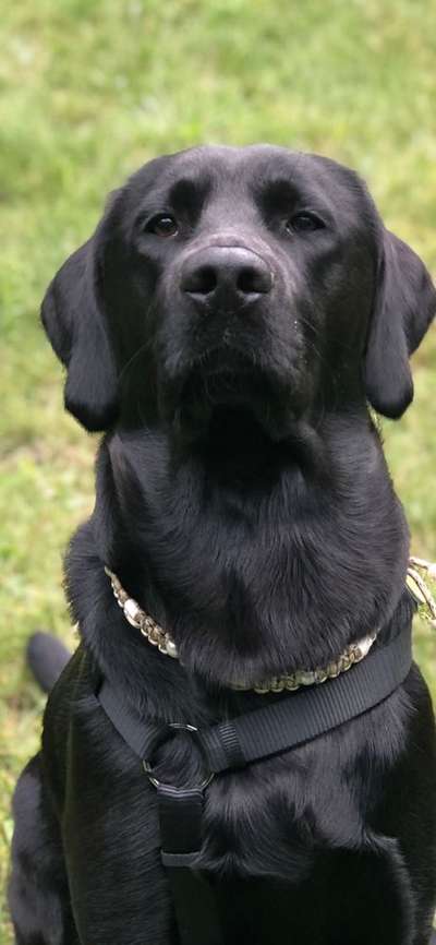 Fotochallange Nr. 57     PORTRÄT.   Beendet!!!!!!!!-Beitrag-Bild