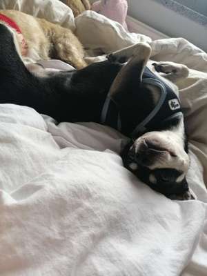 Schlafpositionen-Beitrag-Bild