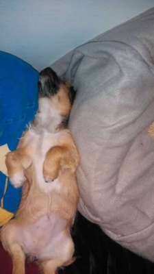 Schlafpositionen-Beitrag-Bild