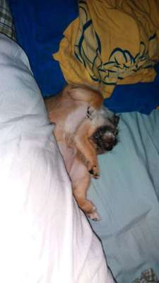 Schlafpositionen-Beitrag-Bild