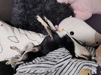 Schlafpositionen-Beitrag-Bild