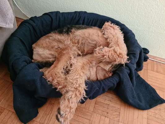 Die unbequemsten und lustigsten Schlafpositionen-Beitrag-Bild