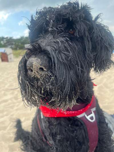 37. Collagen Challenge- Am Strand-Beitrag-Bild