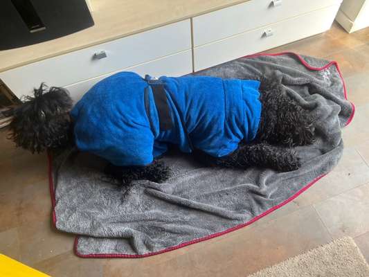 Von oben-Beitrag-Bild