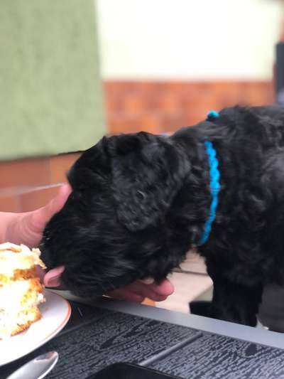 Erstes Bild-Beitrag-Bild