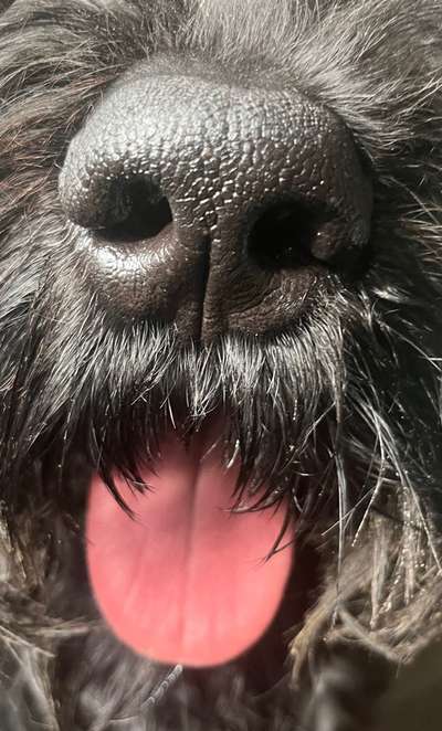 42. Handy Fotochallenge - Den richtigen Riecher haben-Beitrag-Bild