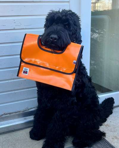 Dogorama Photo Challenge - Der Frühling kommt-Beitrag-Bild