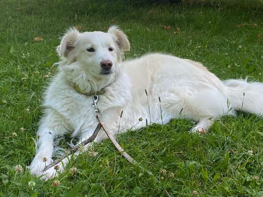 Doppelgänger gesucht !-Beitrag-Bild