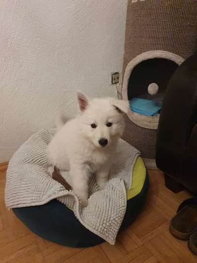 Fotochallange Nummer 5-Beitrag-Bild