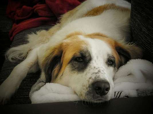 Doppelgänger gesucht !-Beitrag-Bild