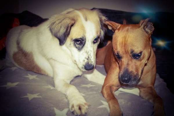 Fotochallenge Nr. 67: Euer Lieblingsbild-Beitrag-Bild