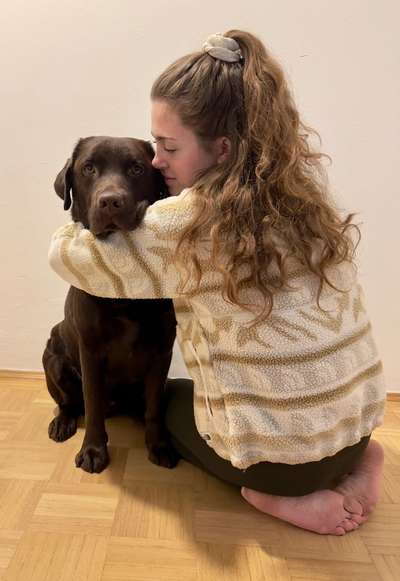 Hundetreffen-Spielkameraden zum gemeinsamen Gassi gehen gesucht 🤎-Bild