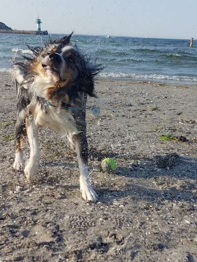 20. Handy -Foto-Callenge-Beitrag-Bild