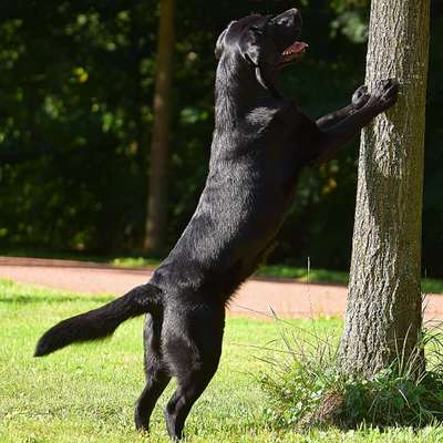 %{de_profession_title}-Einzelstunden-Bild