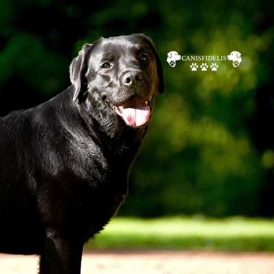 %{de_profession_title}-Fotografie-Bild