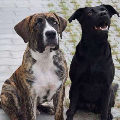 %{de_profession_title}-Gruppenstunden-Bild