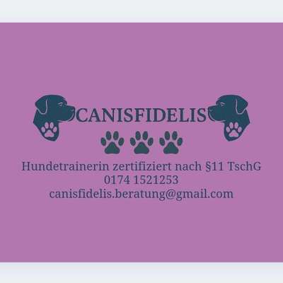 Hundeschulen-Canisfidelis Hundeschule-Bild