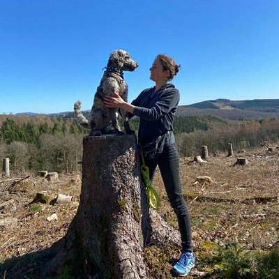 Hundetreffen-Joggen mit Hund/ Canicross Training