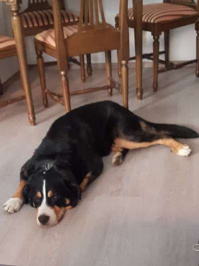 Fotochallange Nummer 5-Beitrag-Bild