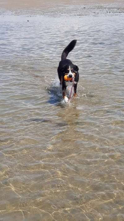 Theos Fotochallange Nummer 4-Beitrag-Bild