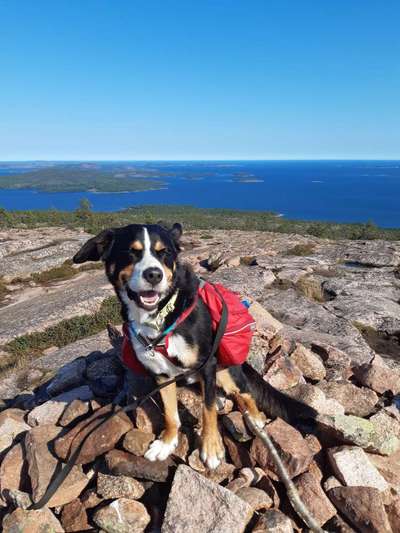 Satteltaschen und mehrtägige Wandertouren-Beitrag-Bild