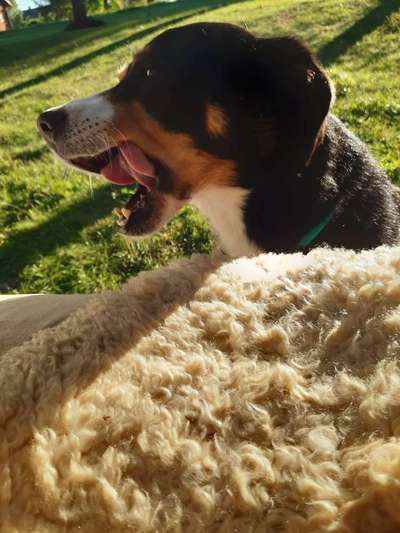 Handyfoto challenge Nr. 13: Waschlappen raus!-Beitrag-Bild