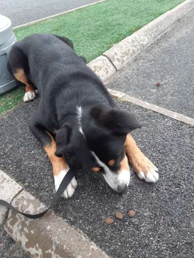 Handy-Foto-Challange Nr. 8-Beitrag-Bild