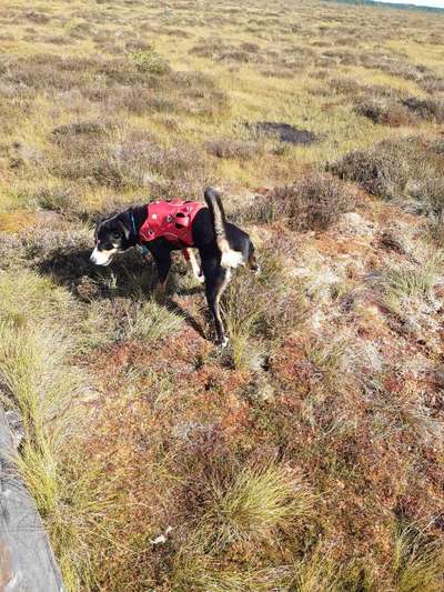 Handy-Foto Challange Nr. 10-Beitrag-Bild