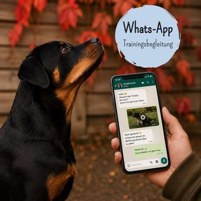 Giftköder-Online-Training per WhatsApp-Bild