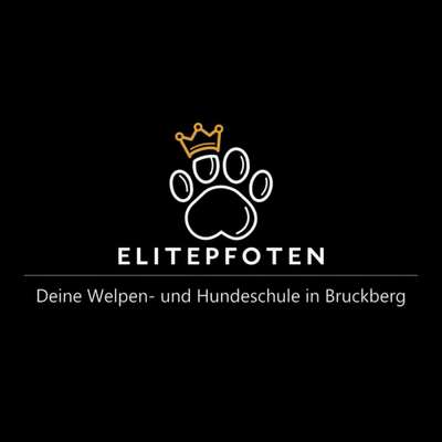 Hundeschulen-Hundeschule Elitepfoten-Bild