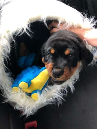 Das erste Foto-Beitrag-Bild