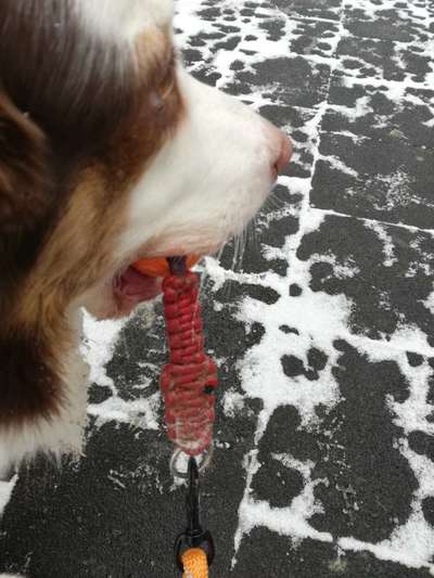 spielzeug gleich gaga?-Beitrag-Bild