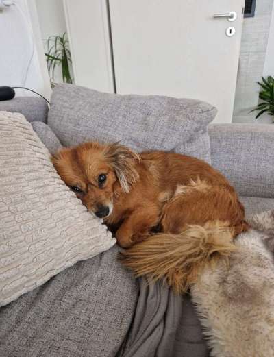 147. Foto Challenge: Bettelblick-Beitrag-Bild