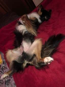 Die unbequemsten und lustigsten Schlafpositionen-Beitrag-Bild