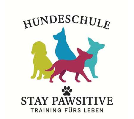 Hundeschulen-Hundeschule Stay Pawsitive Training für's Leben -Bild