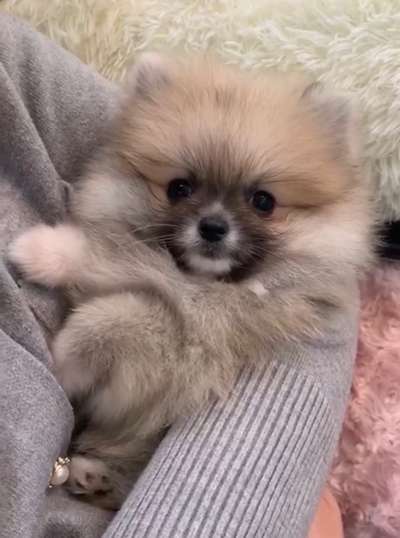 Erstes Bild-Beitrag-Bild