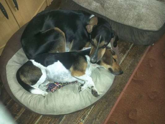 Die unbequemsten und lustigsten Schlafpositionen-Beitrag-Bild