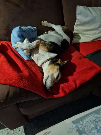 Die unbequemsten und lustigsten Schlafpositionen-Beitrag-Bild