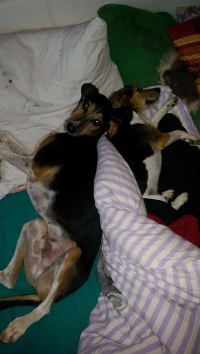 Die unbequemsten und lustigsten Schlafpositionen-Beitrag-Bild