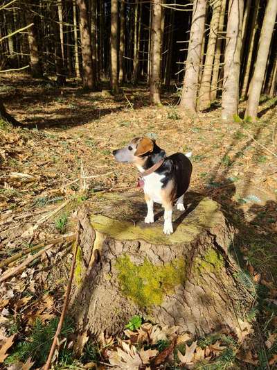 Fotowettbewerb Natur-Beitrag-Bild