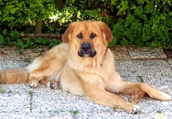 Vorurteile-Beitrag-Bild