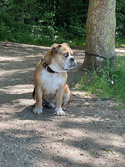 Fotowettbewerb Natur-Beitrag-Bild