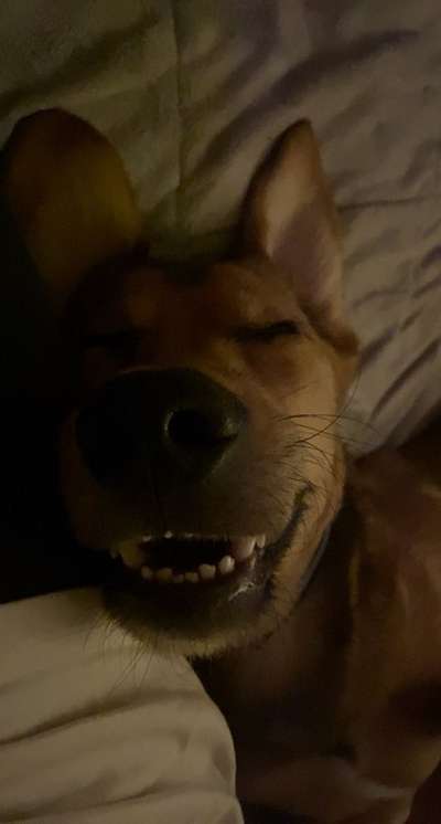 Das beste grinsefoto-Beitrag-Bild