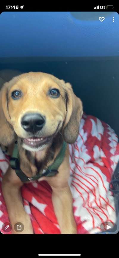 Das beste grinsefoto-Beitrag-Bild