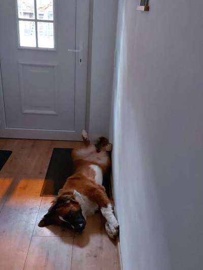 CHALLENGE NR. 34 - Liege-/Schlafpositionen-Beitrag-Bild