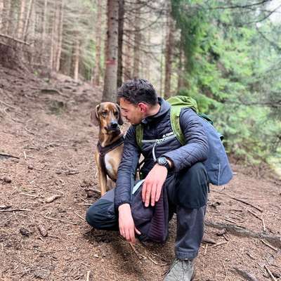 Wo kann mein Hund endlich frei laufen?-Beitrag-Bild